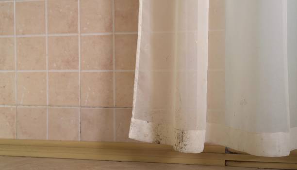 Best Mold-Related Health Consultation  in Clay, CA