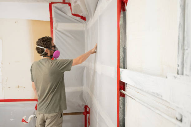 Best Mold Removal for HVAC Installations  in Clay, CA