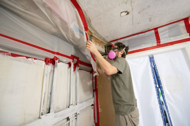 Best Comprehensive Air Testing for Mold Contaminants  in Clay, CA