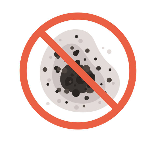 Best Real Estate Mold Inspection  in Clay, CA