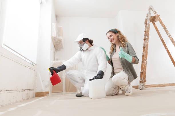 Best Crawl Space Mold Remediation  in Clay, CA