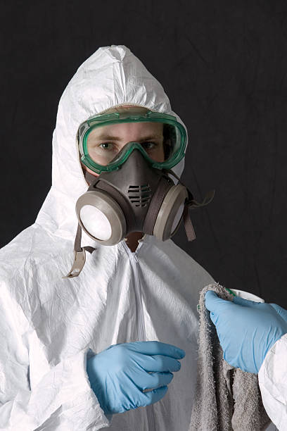 Best Mold Odor Removal Services  in Clay, CA